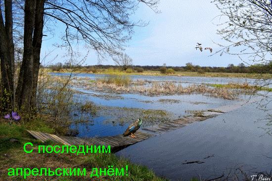 Гифки с последним днем апреля