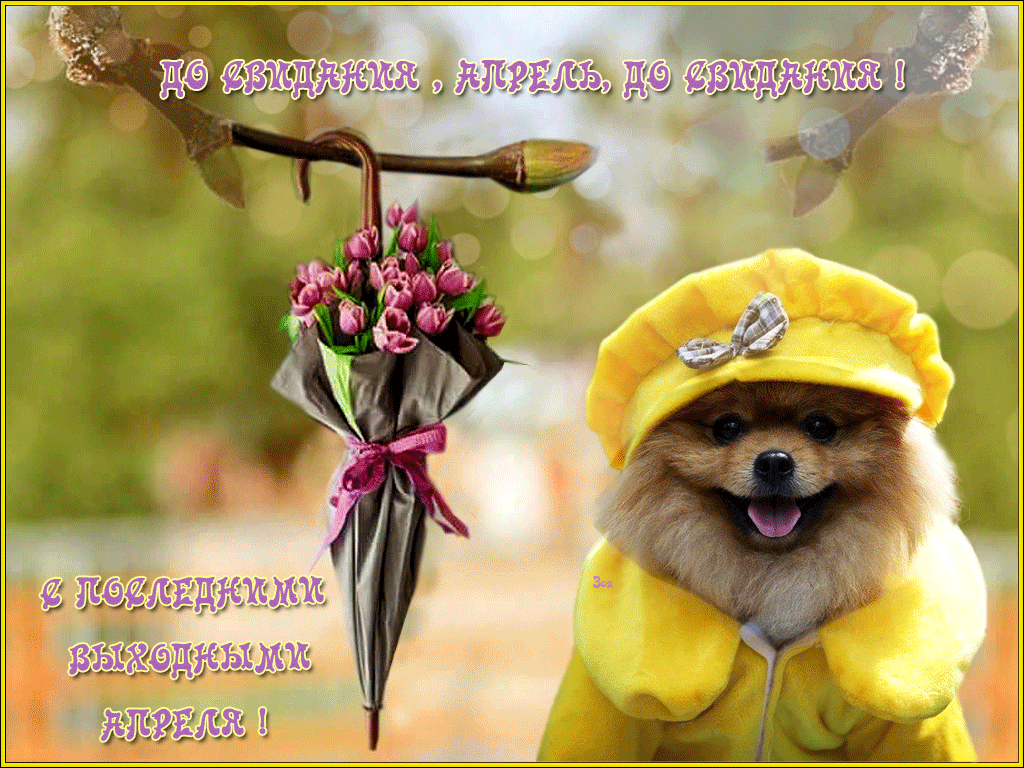 Гифки с последним днем апреля