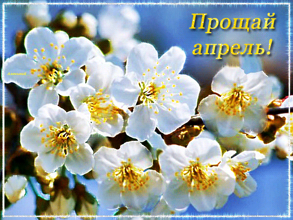 Гифки с последним днем апреля