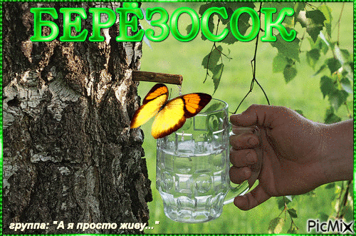 Гифки на Березосок