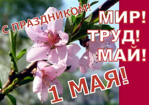 Красивые открытки с 1 мая