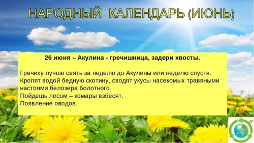 Красивые картинки с Акулиной Гречишницей