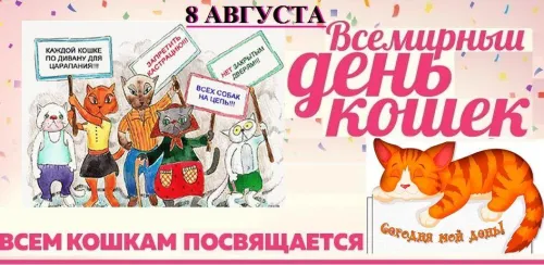 8 августа - Всемирный день кошек: картинка с надписью. Красивые картинки со Всемирным днем кошек