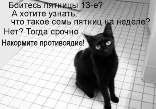 Прикольные картинки с Пятницей 13