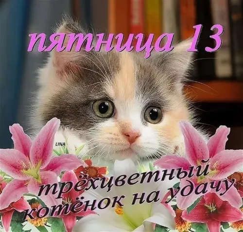 Прикольные картинки с Пятницей 13