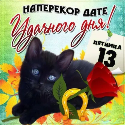 Прикольные картинки с Пятницей 13