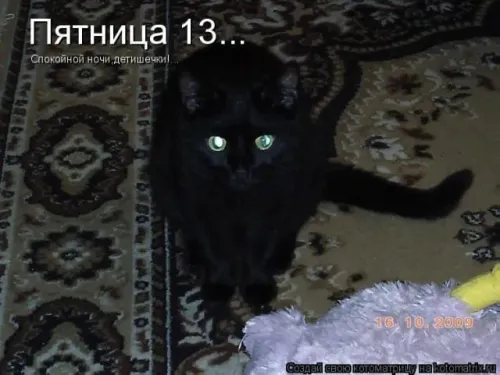 Прикольные картинки с Пятницей 13