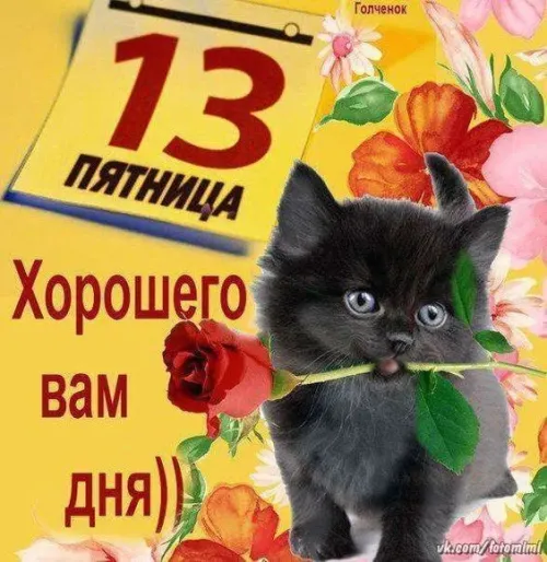 Прикольные картинки с Пятницей 13
