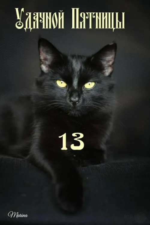 Прикольные картинки с Пятницей 13