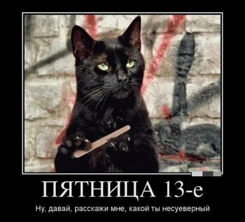 Прикольные картинки с Пятницей 13