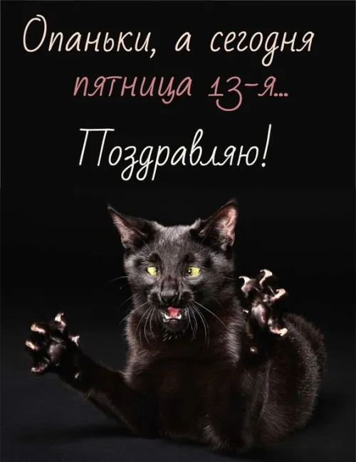 Прикольные картинки с Пятницей 13