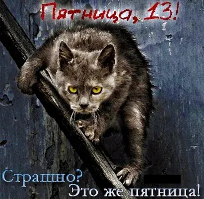 Прикольные картинки с Пятницей 13