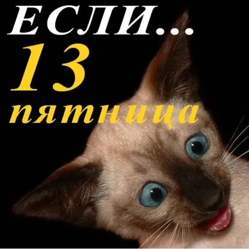 Прикольные картинки с Пятницей 13