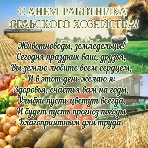 Красивые картинки с Днем работников сельского хозяйства