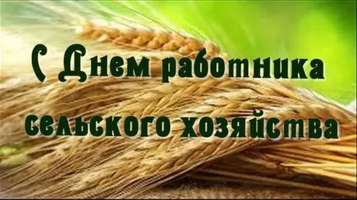 Красивые картинки с Днем работников сельского хозяйства