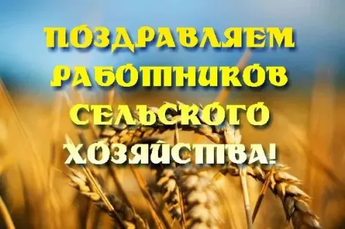 Красивые картинки с Днем работников сельского хозяйства