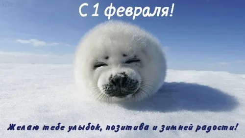 Красивые открытки с первым днем февраля (с началом февраля)