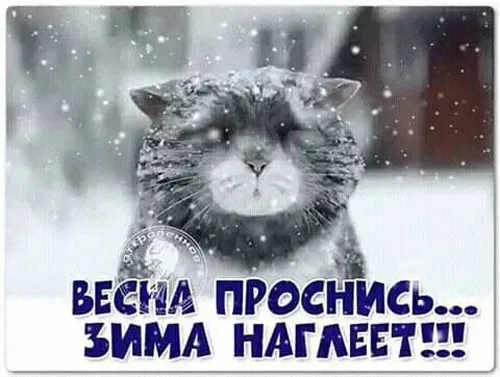 Красивые и прикольные картинки с Первым днем весны