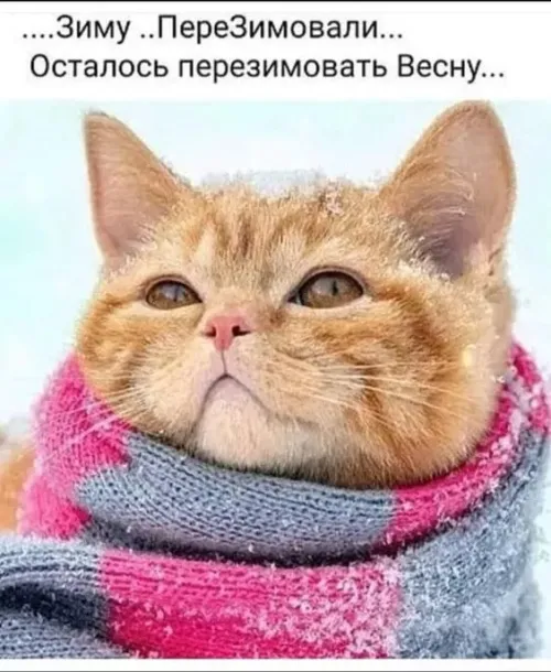 Красивые и прикольные картинки с Первым днем весны