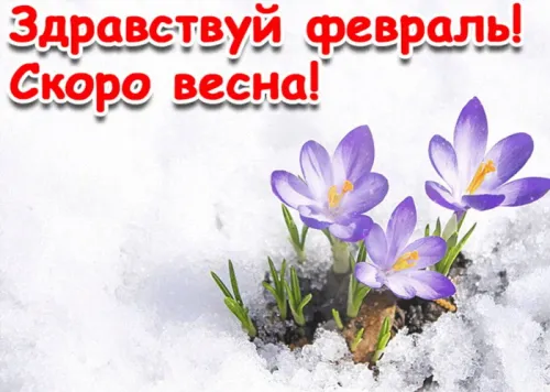 Красивые открытки с первым днем февраля (с началом февраля)