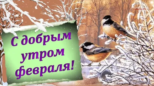 Доброе утро, с первым днем февраля: красивые картинки