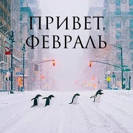 Красивые открытки с первым днем февраля (с началом февраля)