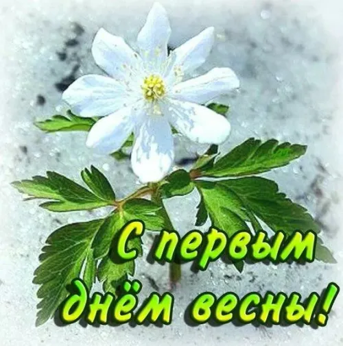 Красивые и прикольные картинки с Первым днем весны