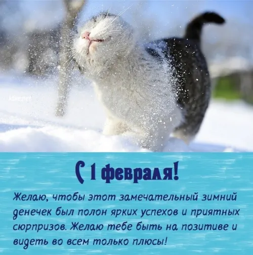 Красивые открытки с первым днем февраля (с началом февраля)