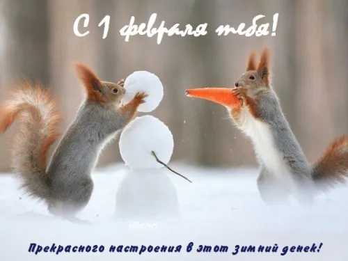 Красивые открытки с первым днем февраля (с началом февраля)