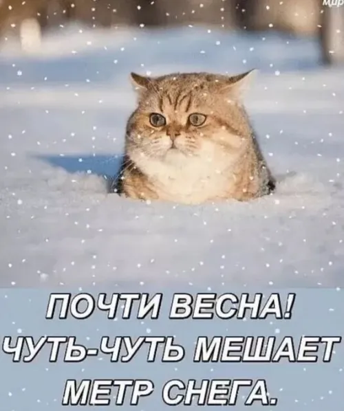 Красивые и прикольные картинки с Первым днем весны