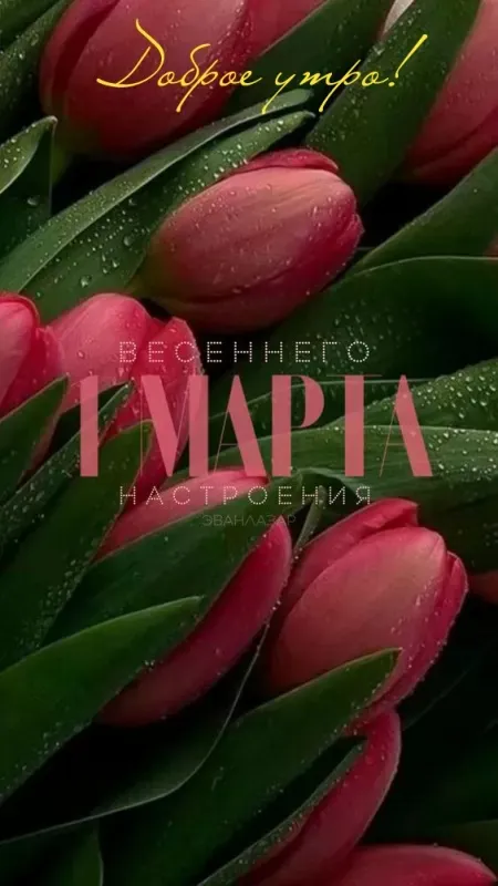 Красивые и прикольные картинки с Первым днем весны