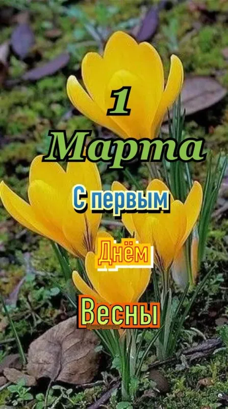 Красивые и прикольные картинки с Первым днем весны