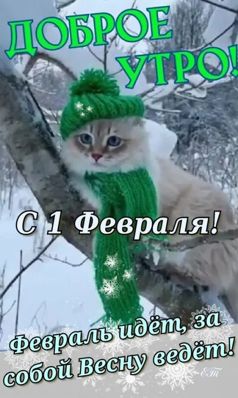 Доброе утро, с первым днем февраля: красивые картинки