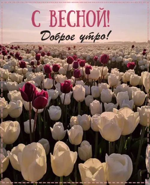 Красивые и прикольные картинки с Первым днем весны