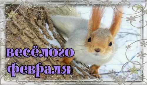 Красивые открытки с первым днем февраля (с началом февраля)