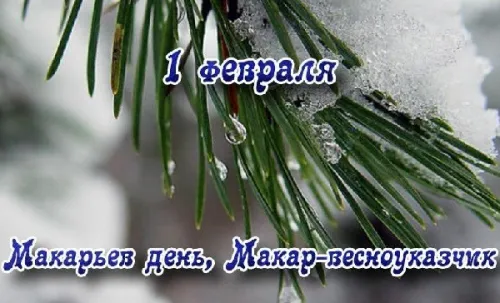 Красивые открытки с первым днем февраля (с началом февраля)