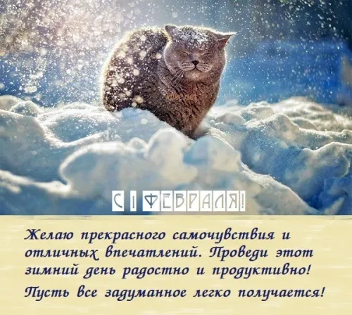 Красивые открытки с первым днем февраля (с началом февраля)