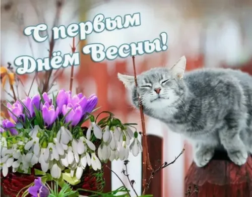 Красивые и прикольные картинки с Первым днем весны