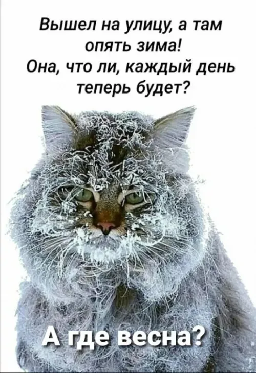 Красивые и прикольные картинки с Первым днем весны