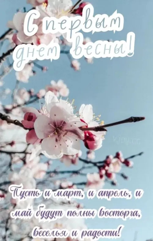 Красивые и прикольные картинки с Первым днем весны