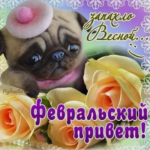 Красивые открытки с первым днем февраля (с началом февраля)