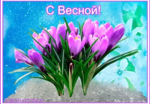Красивые и прикольные картинки с Первым днем весны