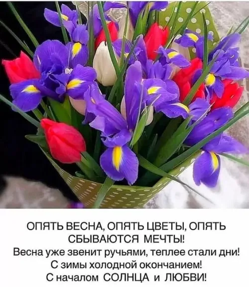 Красивые и прикольные картинки с Первым днем весны