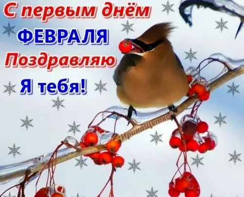 Красивые открытки с первым днем февраля (с началом февраля)