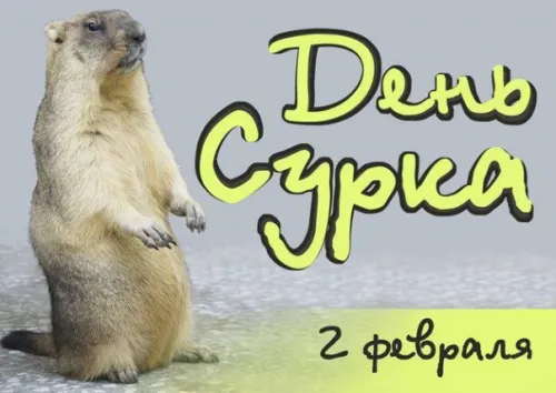 Открытки с Днем сурка: скачать бесплатно красивые картинки с поздравлениями День сурка: 40+ открыток и картинок