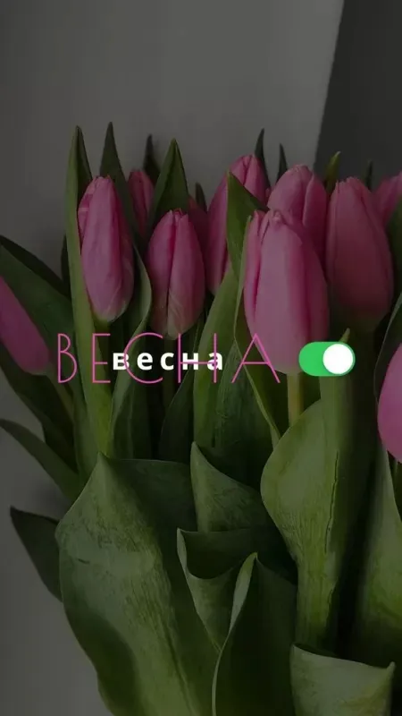 Красивые и прикольные картинки с Первым днем весны