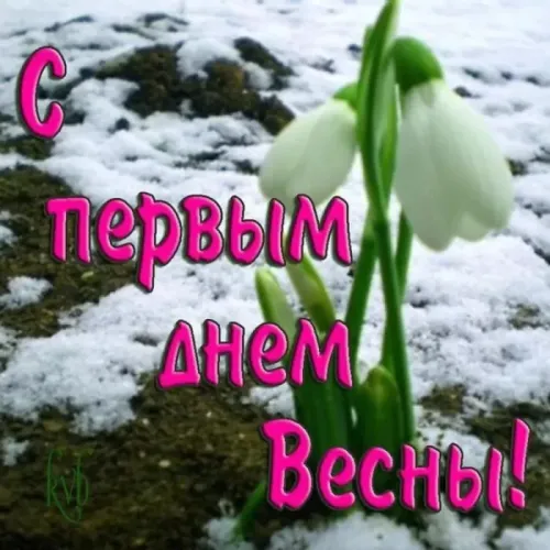Красивые и прикольные картинки с Первым днем весны
