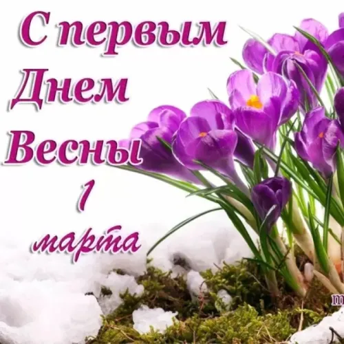 Красивые и прикольные картинки с Первым днем весны