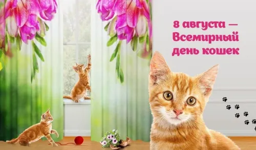 Красивые и прикольные картинки с Днем кошек