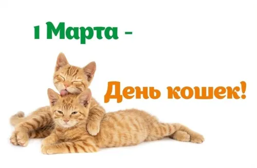 Открытки с Днем кошек 2025: скачать бесплатно красивые картинки с поздравлениями День кошек: 190+ открыток и картинок